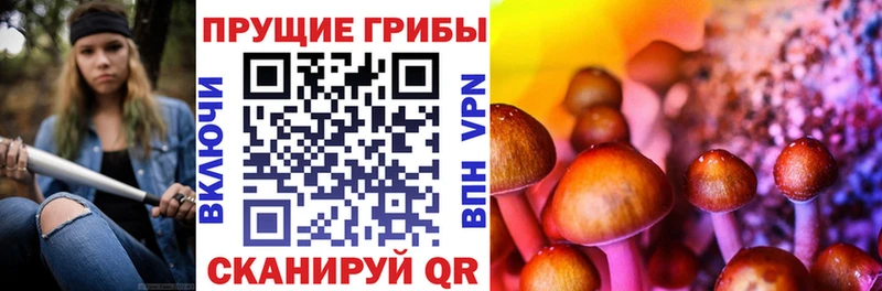 Псилоцибиновые грибы мицелий  где можно купить наркотик  Кировск 